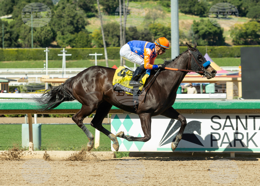 Santa Anita Horse Racing