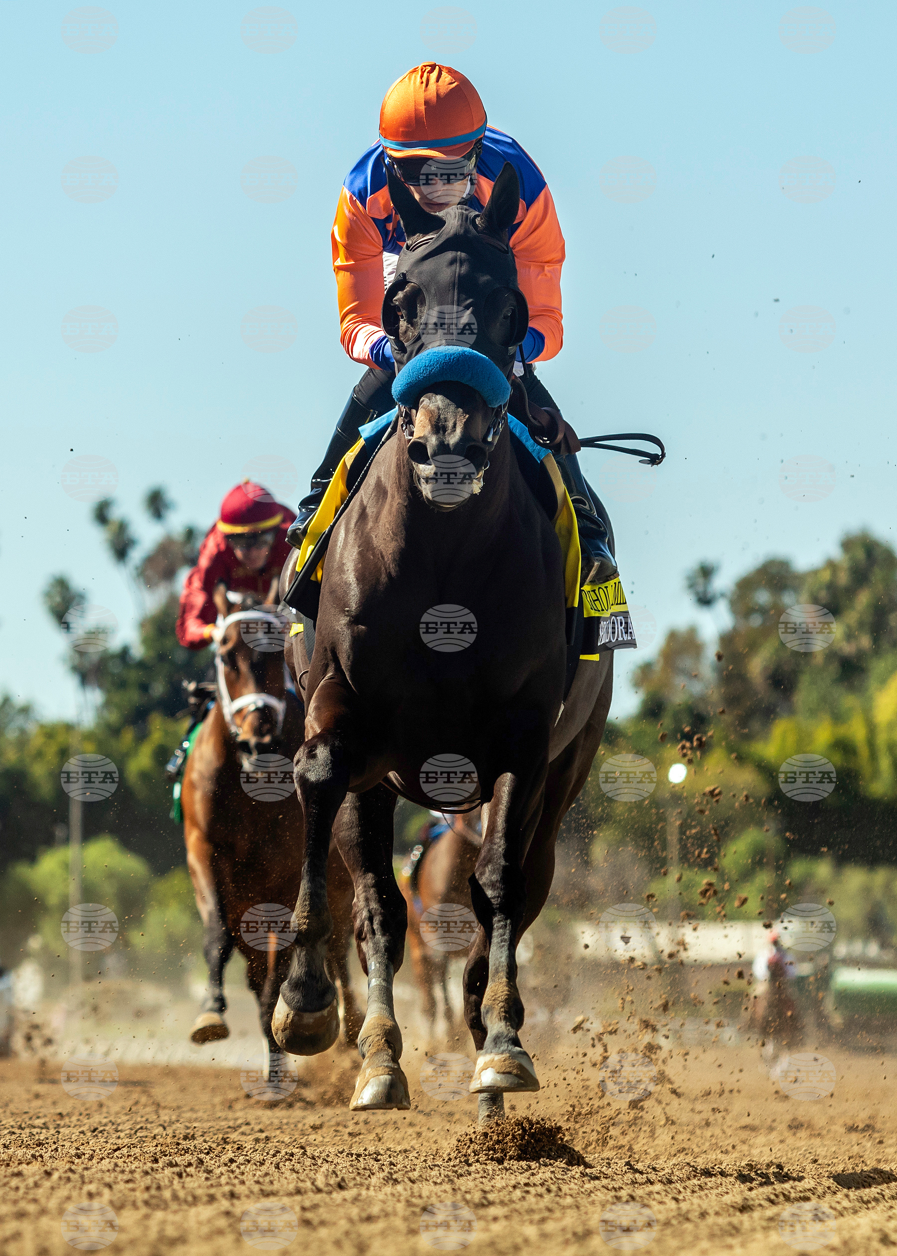 Santa Anita Horse Racing
