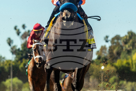 Santa Anita Horse Racing