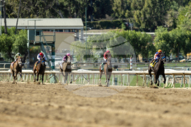 Santa Anita Horse Racing
