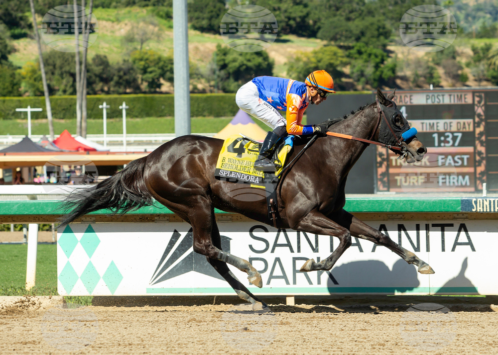 Santa Anita Horse Racing