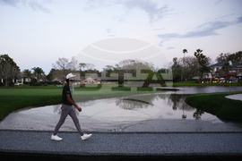 Bay Hill Golf