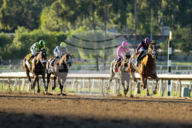 Santa Anita Horse Racing