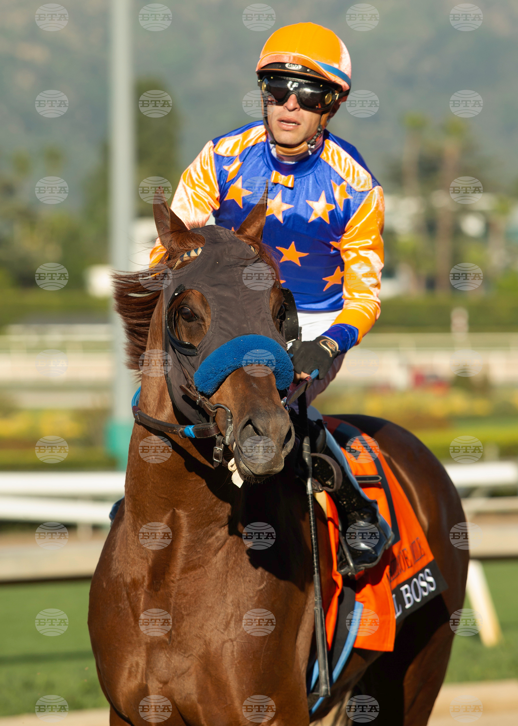 Santa Anita Horse Racing