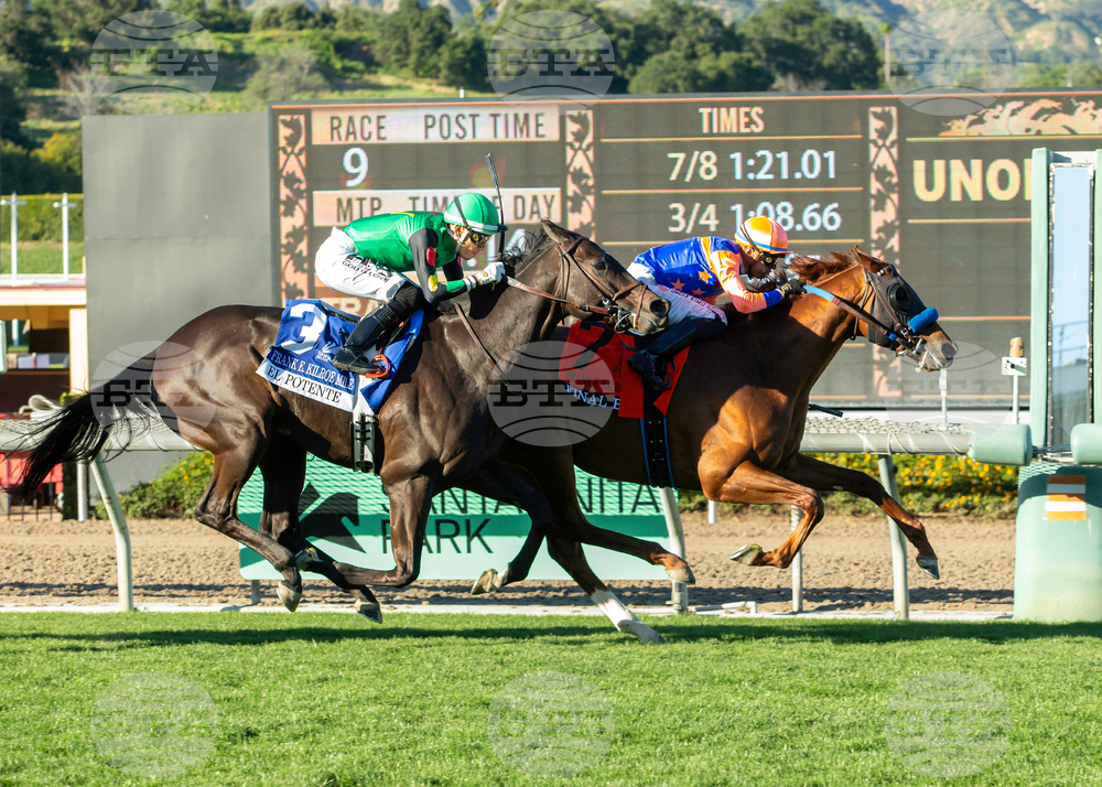 Santa Anita Horse Racing