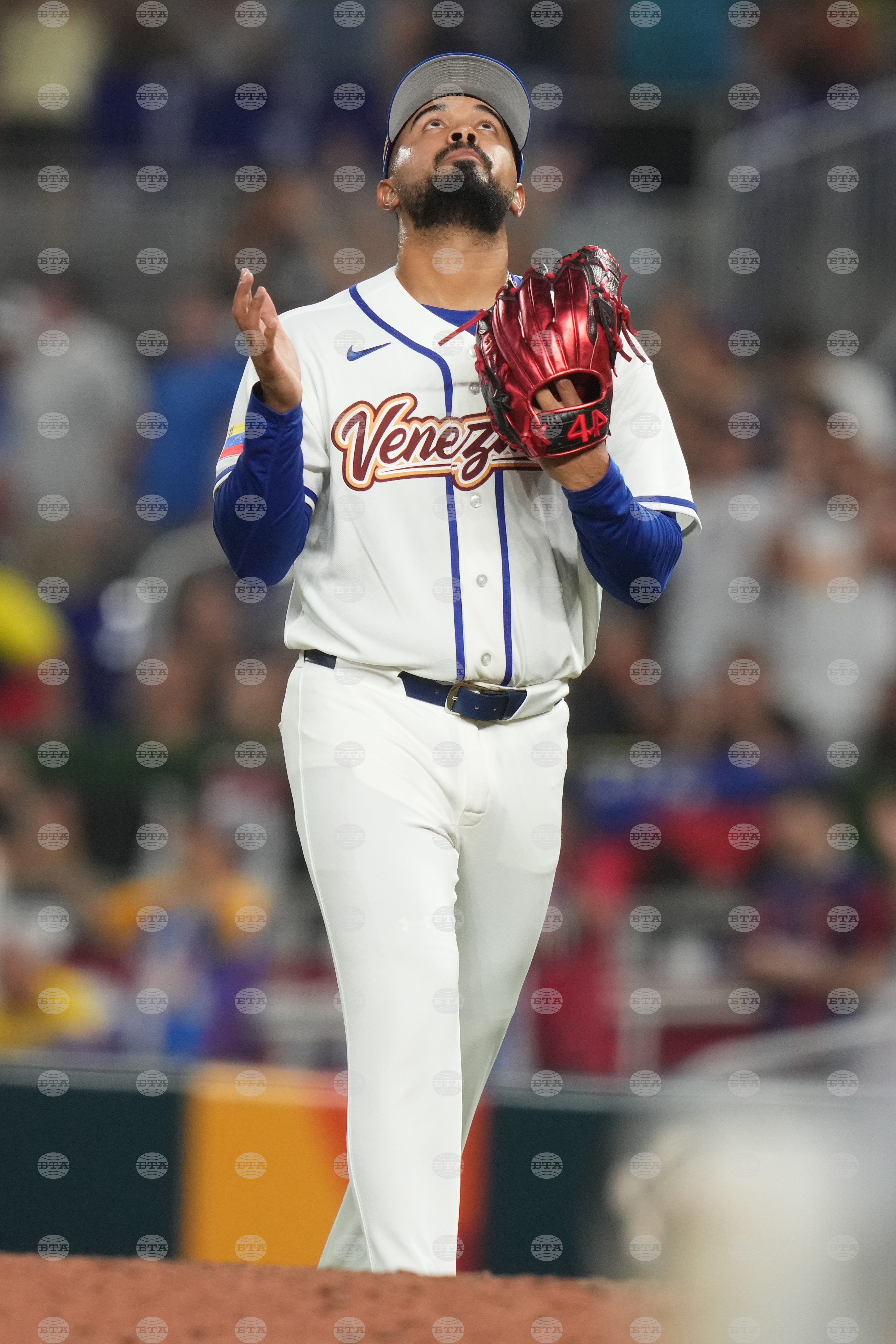 WBC Israel Venezuela Baseball
