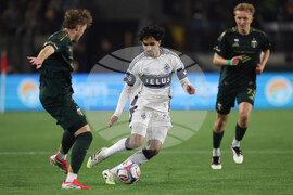 MLS Rapids Timbers Soccer