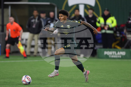MLS Rapids Timbers Soccer
