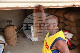 West Africa Cocoa Farmers