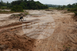 West Africa Cocoa Farmers