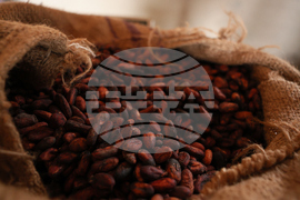 West Africa Cocoa Farmers