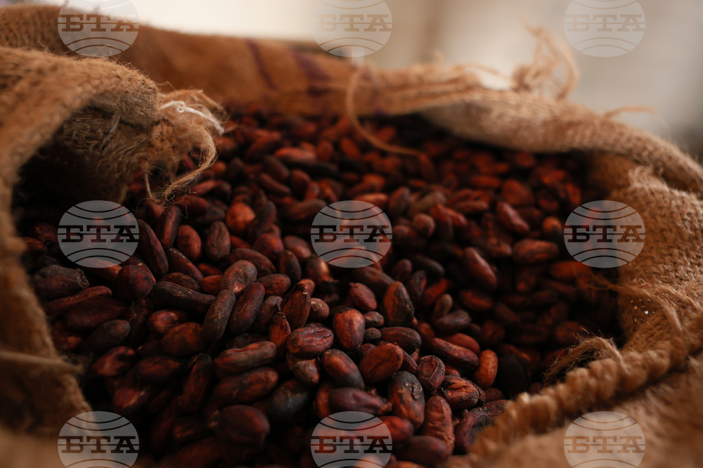 West Africa Cocoa Farmers
