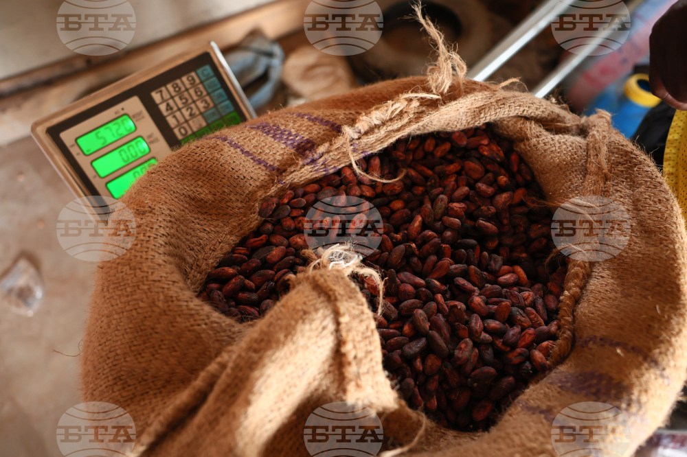 West Africa Cocoa Farmers