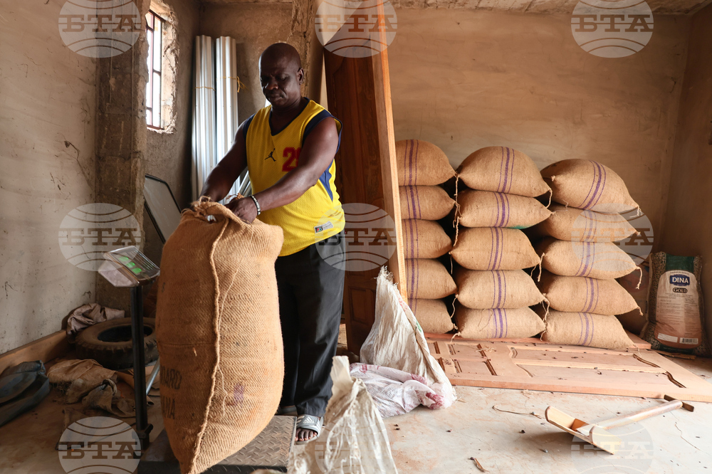 West Africa Cocoa Farmers