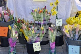 Пазарджик - 8 март - цветя