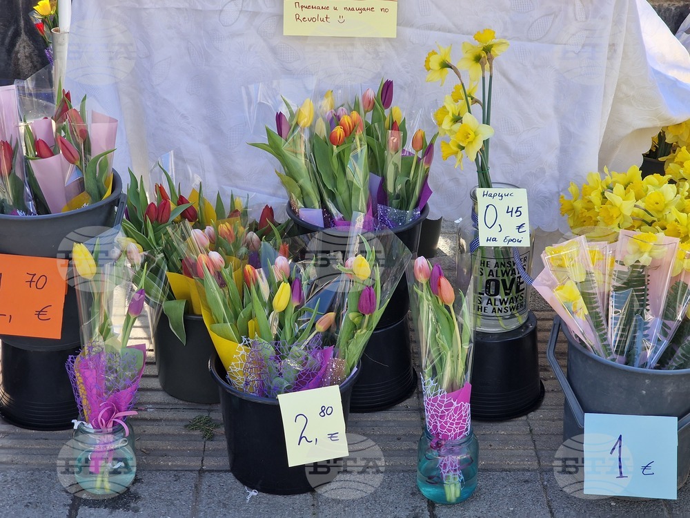 Пазарджик - 8 март - цветя