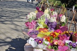 Пазарджик - 8 март - цветя