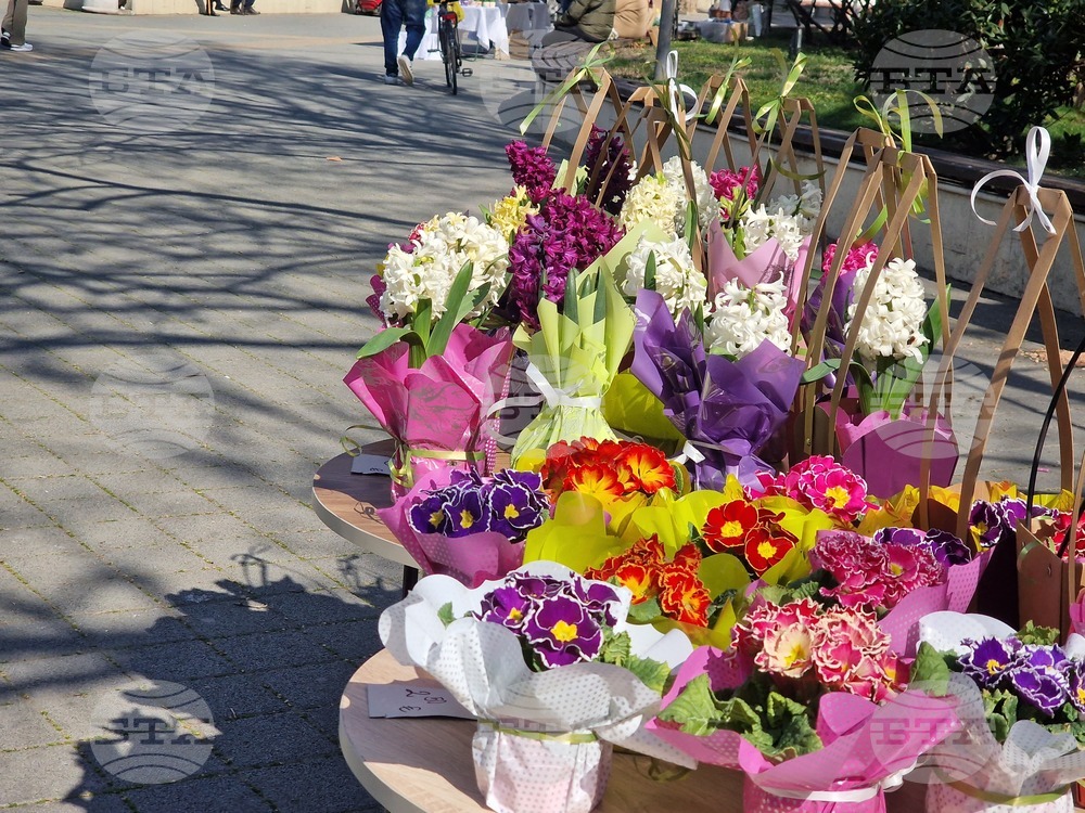 Пазарджик - 8 март - цветя