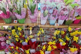 Пазарджик - 8 март - цветя