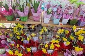 Пазарджик - 8 март - цветя