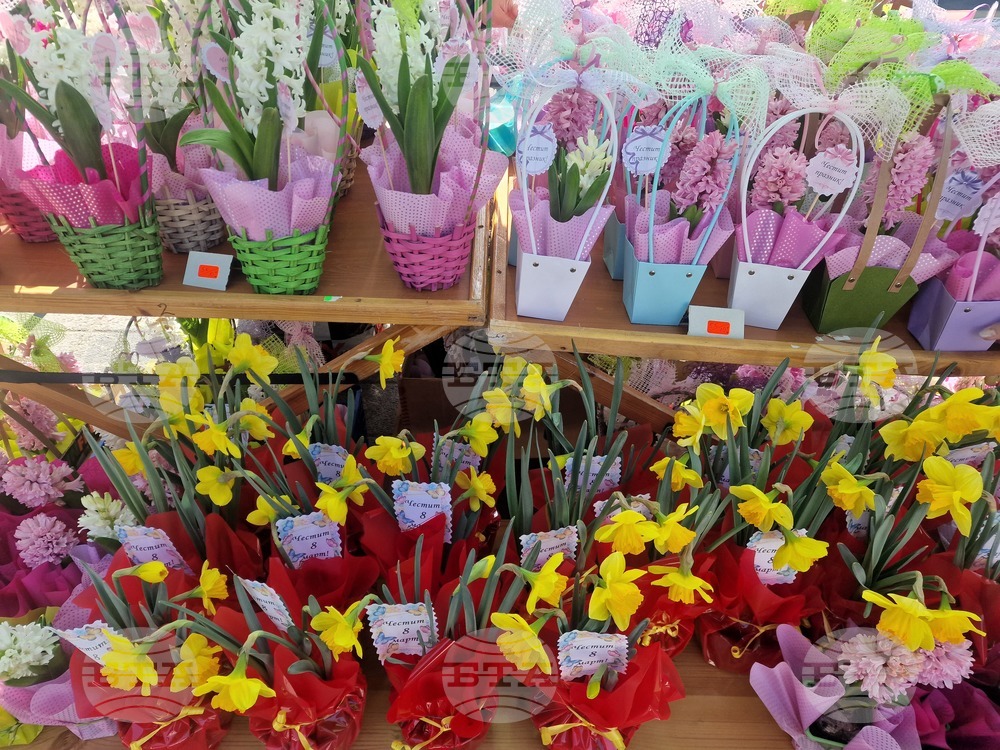 Пазарджик - 8 март - цветя