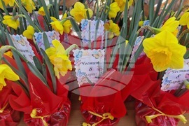 Пазарджик - 8 март - цветя