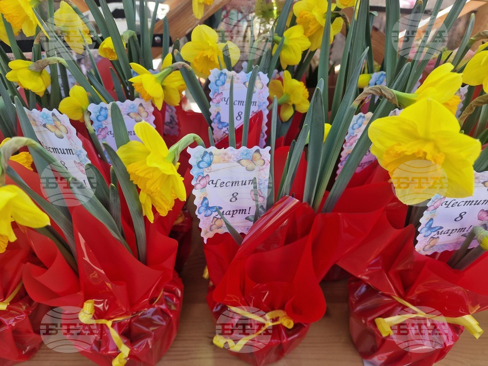 Пазарджик - 8 март - цветя