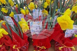 Пазарджик - 8 март - цветя