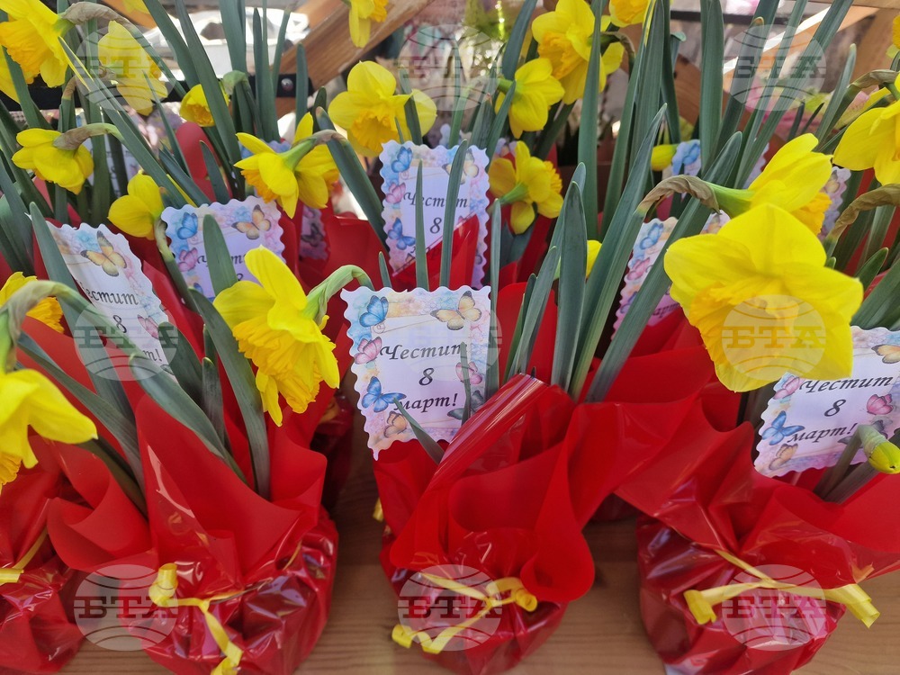 Пазарджик - 8 март - цветя