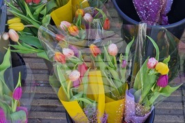 Пазарджик - 8 март - цветя