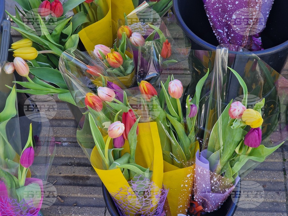 Пазарджик - 8 март - цветя