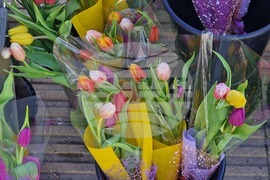 Пазарджик - 8 март - цветя