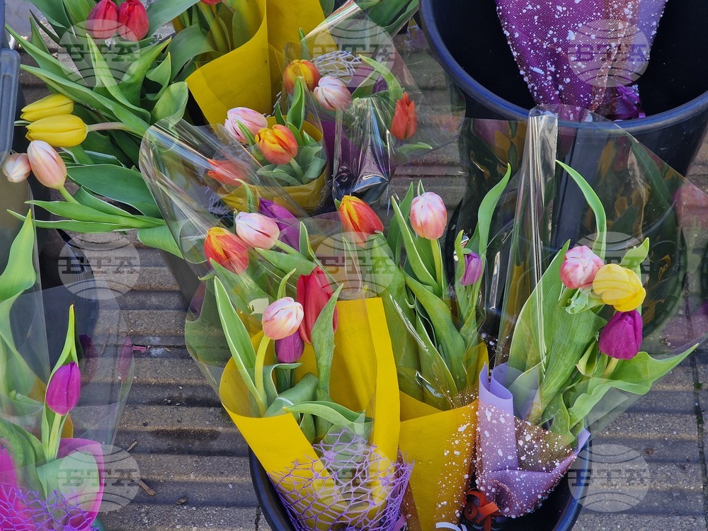 Пазарджик - 8 март - цветя