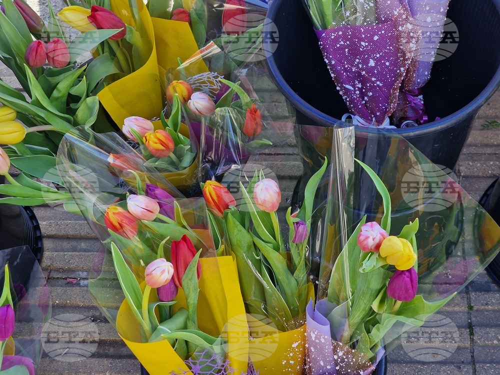 Пазарджик - 8 март - цветя