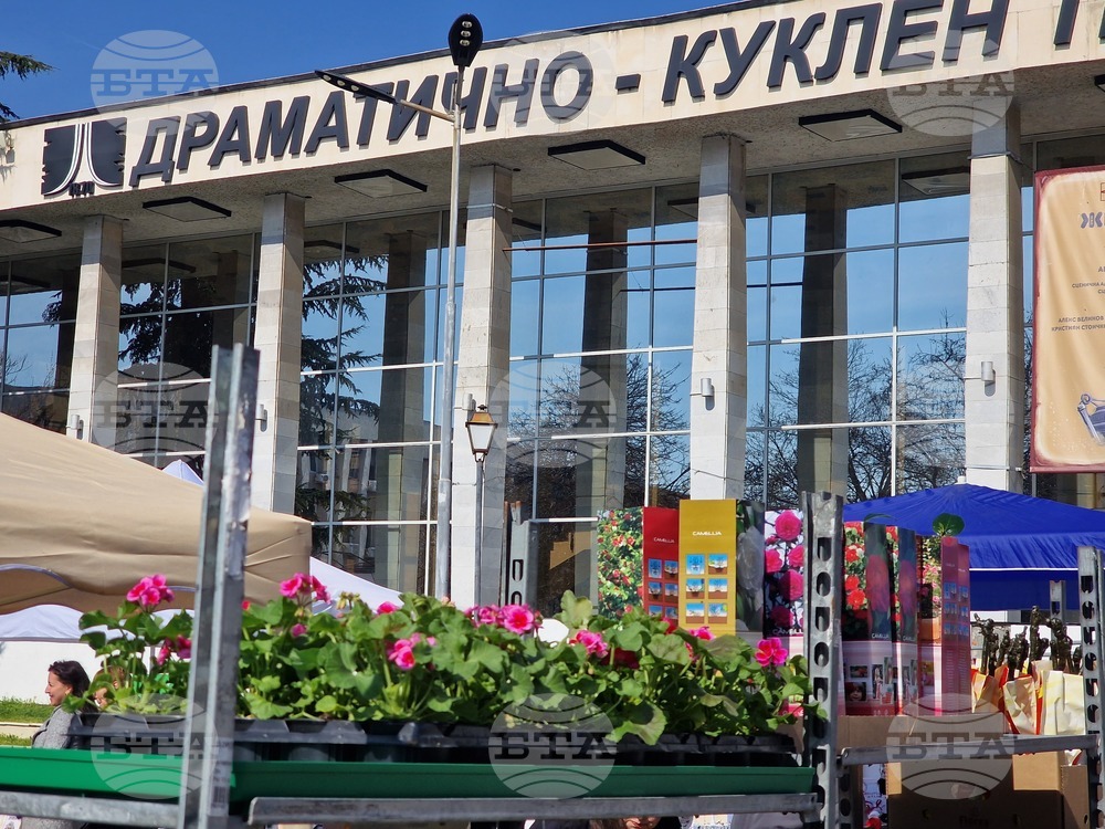 Пазарджик - 8 март - цветя