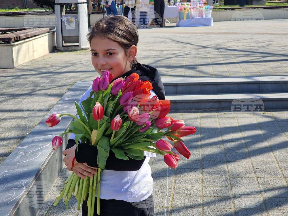 Пазарджик - 8 март - лалета