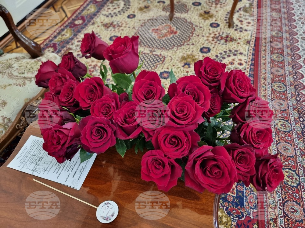 Добрич - празник на жената - матине