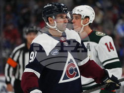Wild Avalanche Hockey