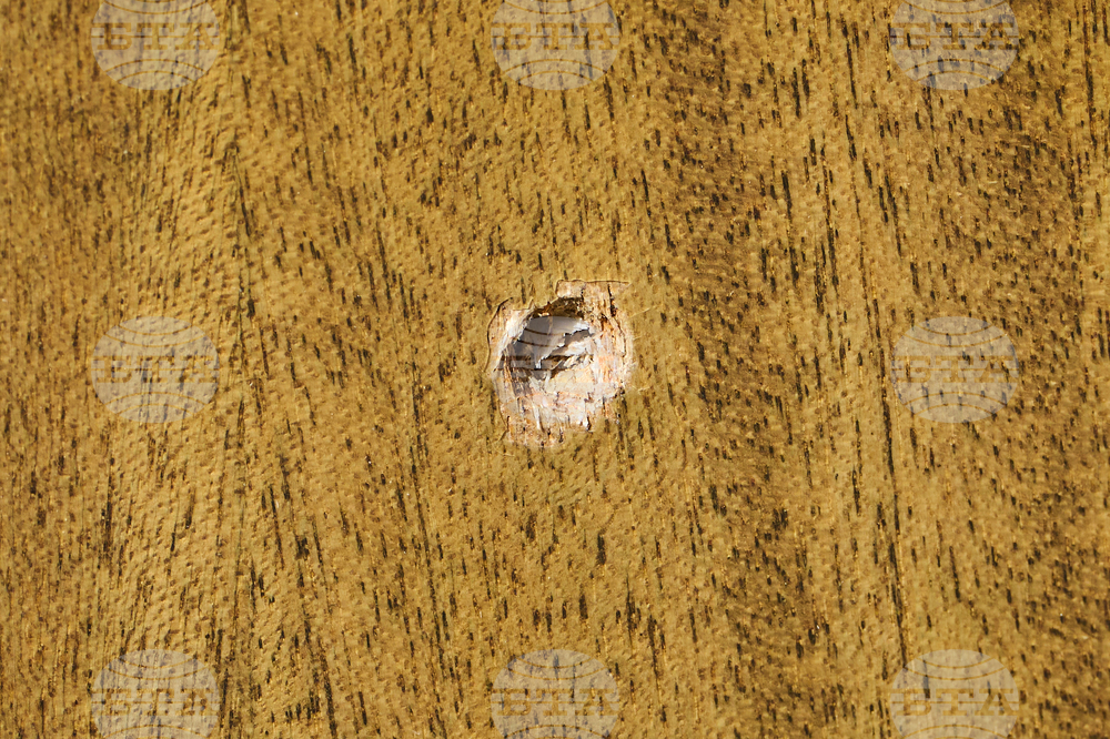 Canada Synagogue Shooting