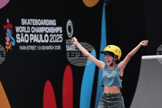 Brazil Skateboard World Championship