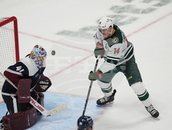 Wild Avalanche Hockey