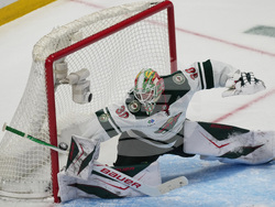 Wild Avalanche Hockey