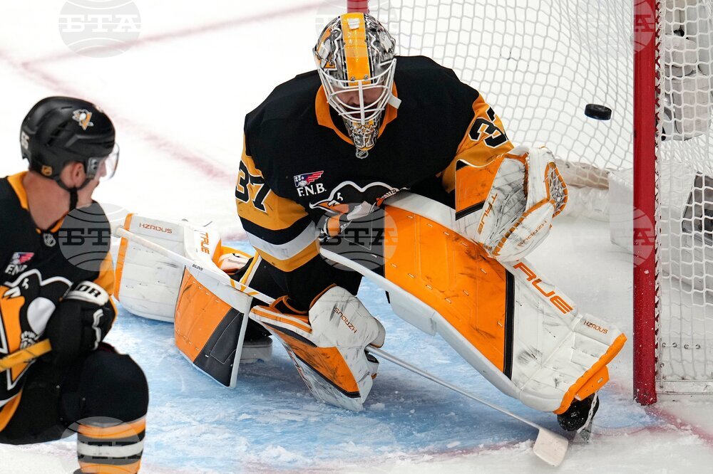 Bruins Penguins Hockey
