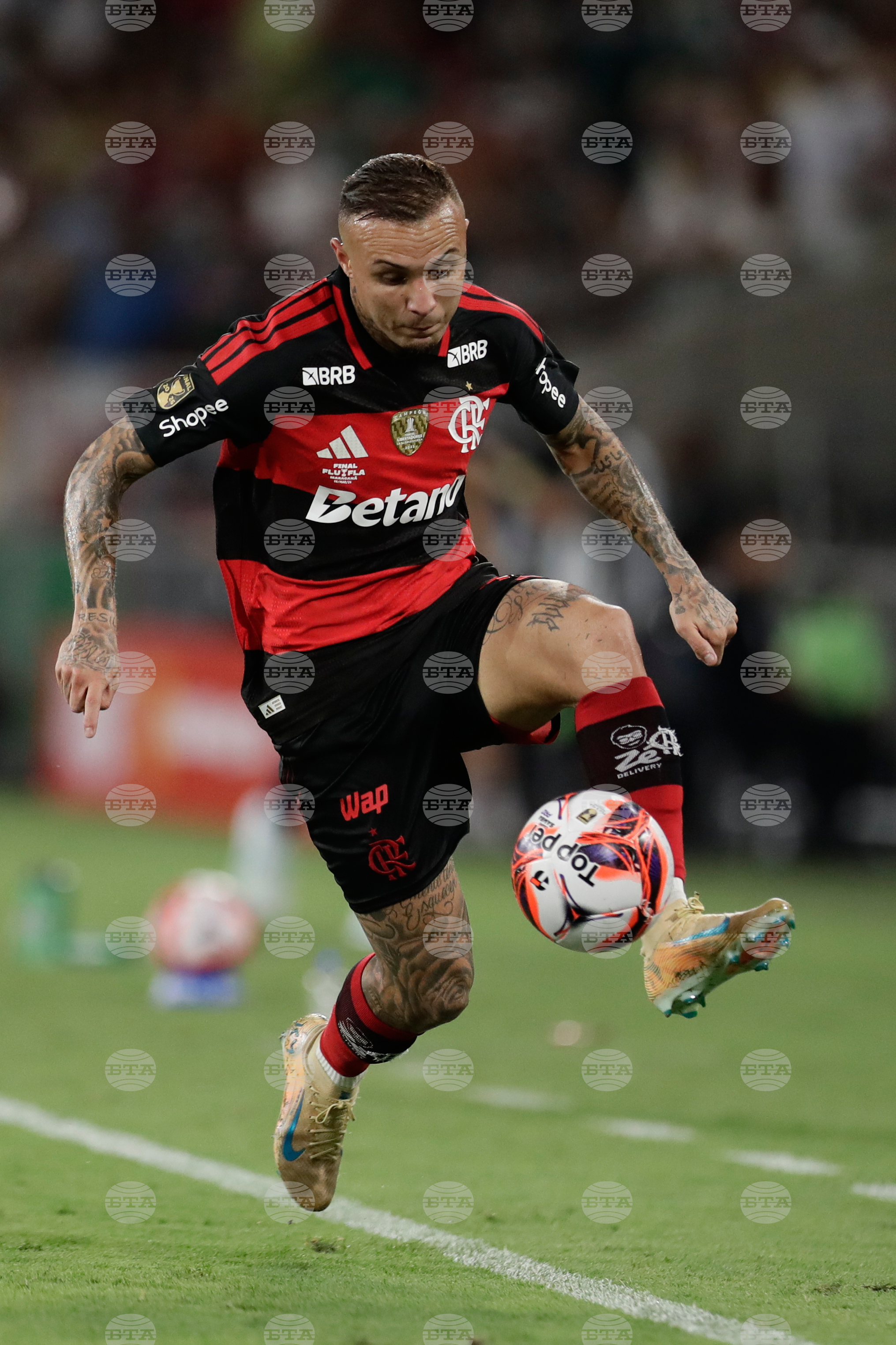 Brazil Carioca Championship Soccer