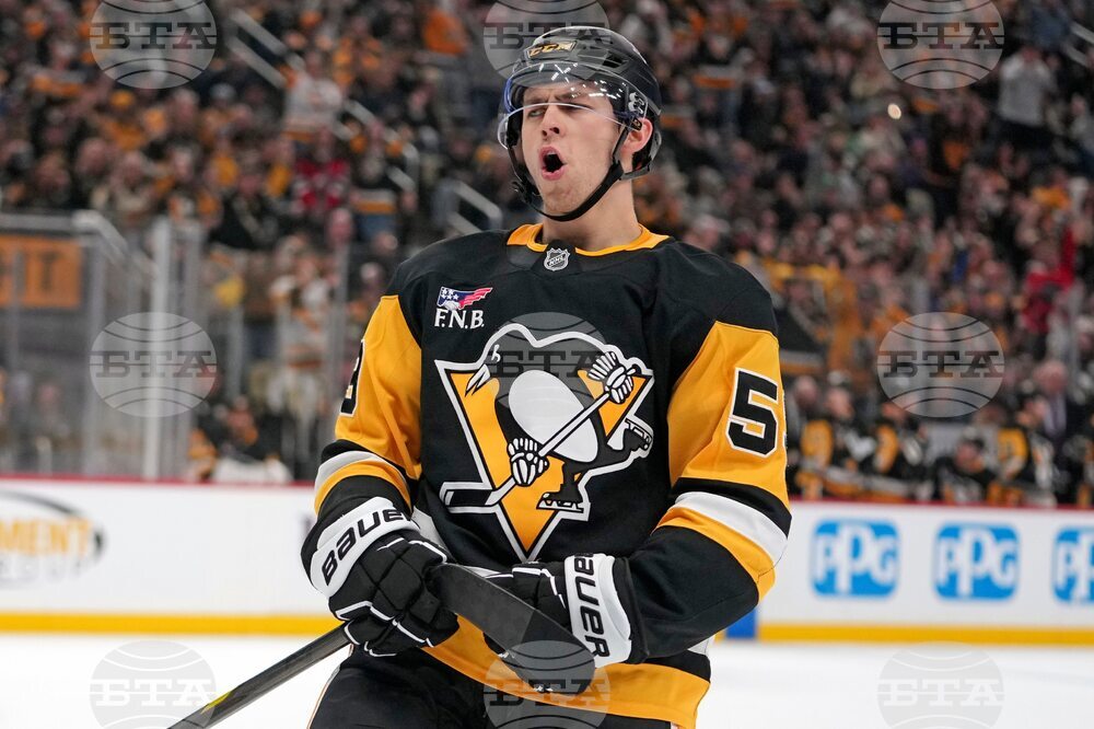 Bruins Penguins Hockey