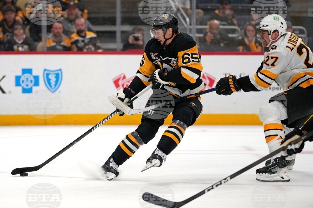 Bruins Penguins Hockey