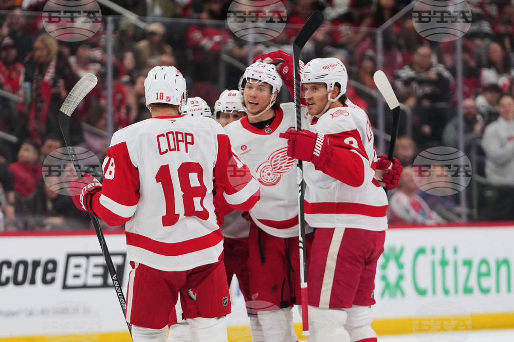 Red Wings Devils Hockey