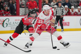 Red Wings Devils Hockey