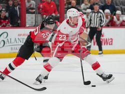 Red Wings Devils Hockey