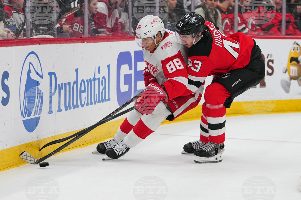 Red Wings Devils Hockey